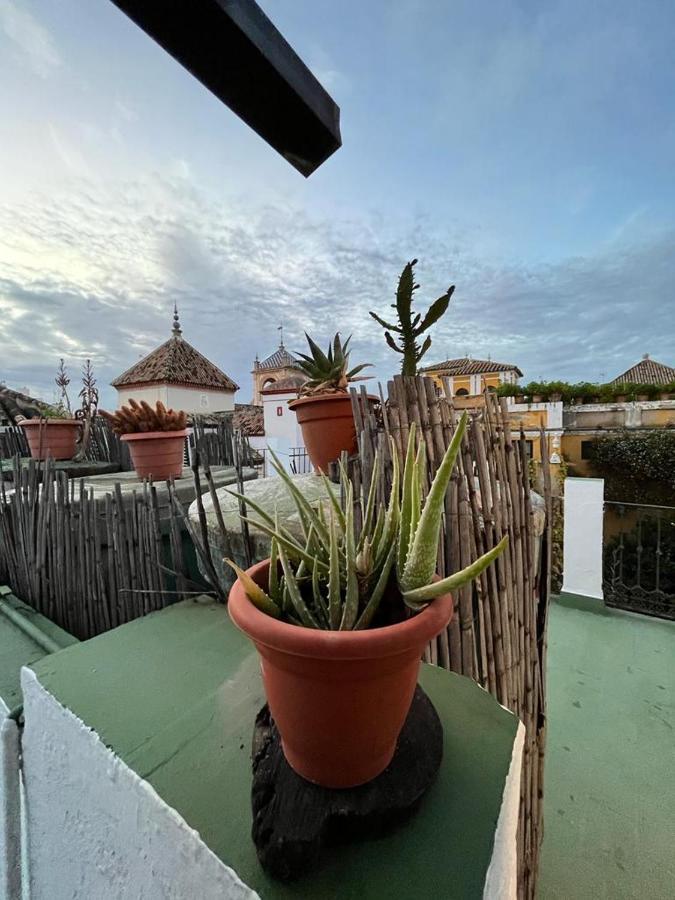 Pension Bienvenido Sevilla Exteriör bild
